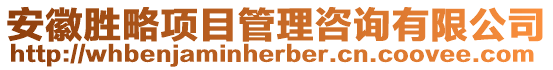 安徽勝略項目管理咨詢有限公司