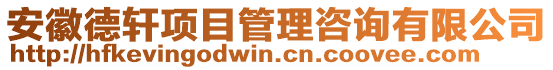 安徽德軒項(xiàng)目管理咨詢有限公司