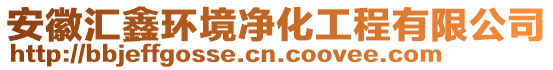 安徽汇鑫环境净化工程有限公司