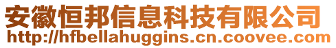 安徽恒邦信息科技有限公司