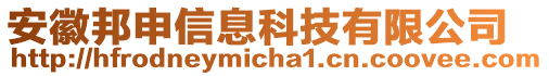 安徽邦申信息科技有限公司