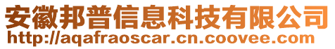 安徽邦普信息科技有限公司