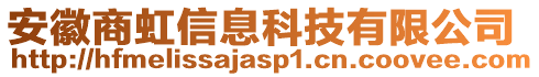 安徽商虹信息科技有限公司