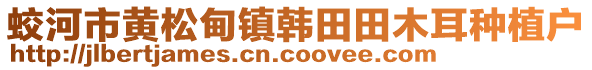 蛟河市黃松甸鎮(zhèn)韓田田木耳種植戶