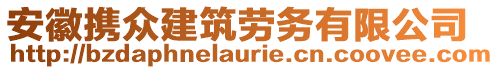 安徽攜眾建筑勞務有限公司