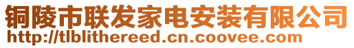 铜陵市联发家电安装有限公司