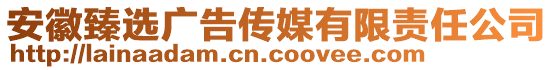 安徽臻選廣告?zhèn)髅接邢挢?zé)任公司