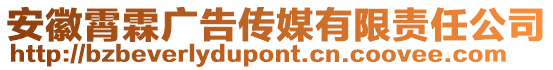 安徽霄霖廣告?zhèn)髅接邢挢?zé)任公司