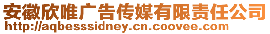 安徽欣唯廣告傳媒有限責任公司