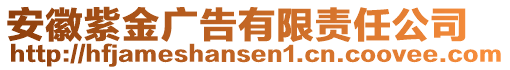 安徽紫金廣告有限責(zé)任公司