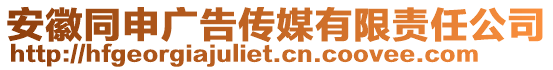 安徽同申廣告?zhèn)髅接邢挢?zé)任公司
