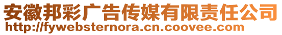 安徽邦彩廣告?zhèn)髅接邢挢?zé)任公司