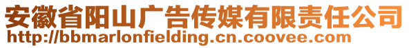 安徽省陽山廣告?zhèn)髅接邢挢?zé)任公司