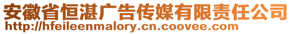 安徽省恒湛廣告?zhèn)髅接邢挢?zé)任公司