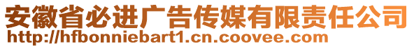 安徽省必進廣告?zhèn)髅接邢挢?zé)任公司