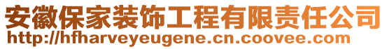 安徽保家装饰工程有限责任公司