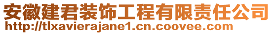 安徽建君裝飾工程有限責(zé)任公司