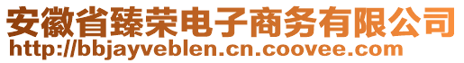 安徽省臻榮電子商務(wù)有限公司