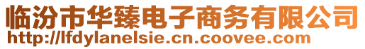 臨汾市華臻電子商務有限公司