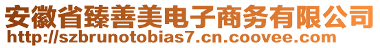 安徽省臻善美電子商務(wù)有限公司