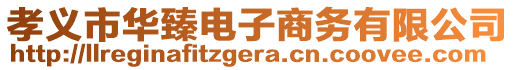 孝義市華臻電子商務(wù)有限公司