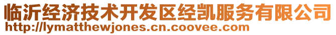 臨沂經(jīng)濟(jì)技術(shù)開(kāi)發(fā)區(qū)經(jīng)凱服務(wù)有限公司