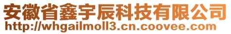 安徽省鑫宇辰科技有限公司