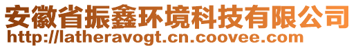 安徽省振鑫環(huán)境科技有限公司