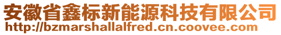 安徽省鑫標(biāo)新能源科技有限公司