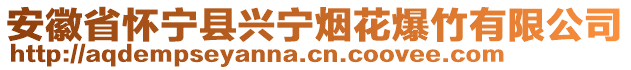 安徽省懷寧縣興寧煙花爆竹有限公司