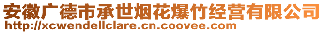 安徽廣德市承世煙花爆竹經(jīng)營有限公司