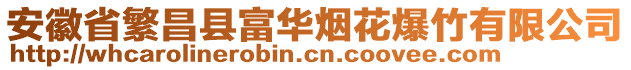 安徽省繁昌縣富華煙花爆竹有限公司