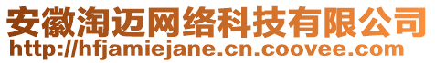 安徽淘邁網(wǎng)絡(luò)科技有限公司