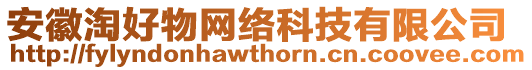 安徽淘好物網(wǎng)絡(luò)科技有限公司