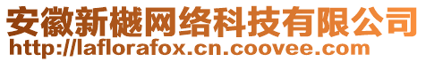 安徽新樾網(wǎng)絡(luò)科技有限公司