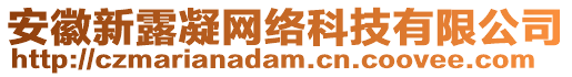 安徽新露凝網(wǎng)絡(luò)科技有限公司