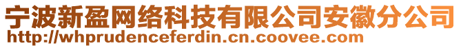 寧波新盈網(wǎng)絡(luò)科技有限公司安徽分公司