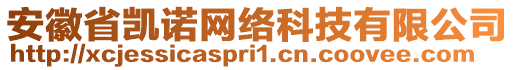 安徽省凱諾網(wǎng)絡(luò)科技有限公司