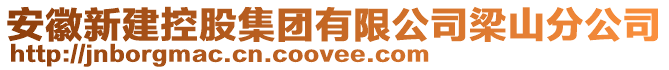 安徽新建控股集團(tuán)有限公司梁山分公司