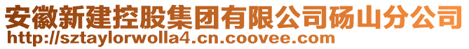 安徽新建控股集團(tuán)有限公司碭山分公司