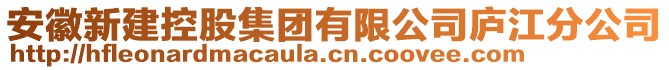 安徽新建控股集團(tuán)有限公司廬江分公司