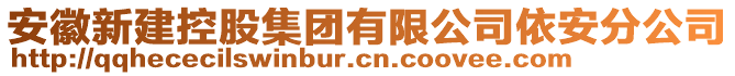 安徽新建控股集團有限公司依安分公司