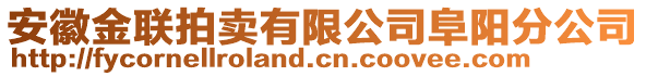 安徽金聯(lián)拍賣有限公司阜陽分公司