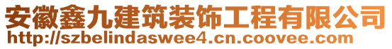 安徽鑫九建筑裝飾工程有限公司