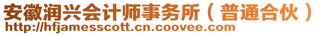 安徽潤興會計師事務(wù)所（普通合伙）