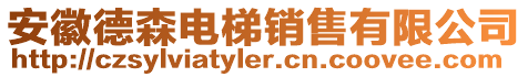 安徽德森電梯銷售有限公司