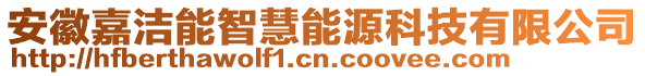 安徽嘉潔能智慧能源科技有限公司