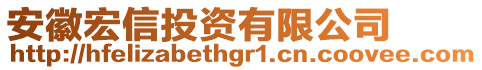 安徽宏信投資有限公司