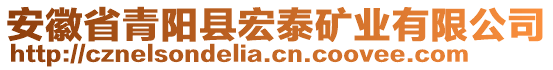 安徽省青陽縣宏泰礦業(yè)有限公司