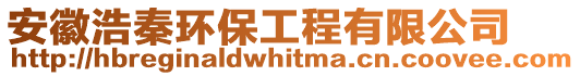 安徽浩秦環(huán)保工程有限公司